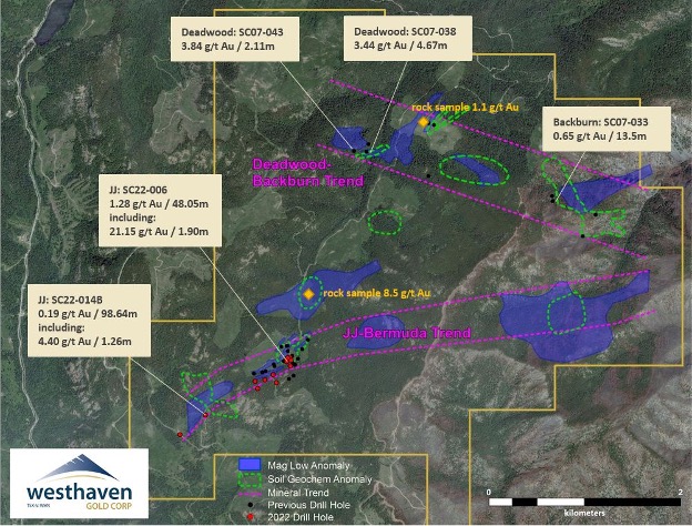 Longitudinal Section